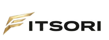 LOGO FITSORI